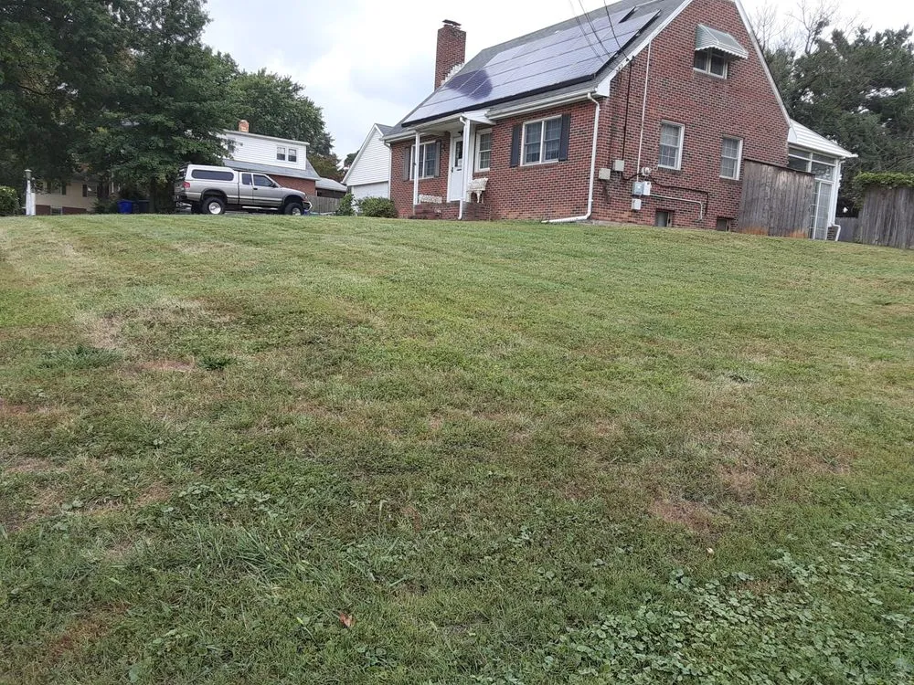 Custom lawn mowing service experts serving Elkridge, MD - Raines Lawncare Services