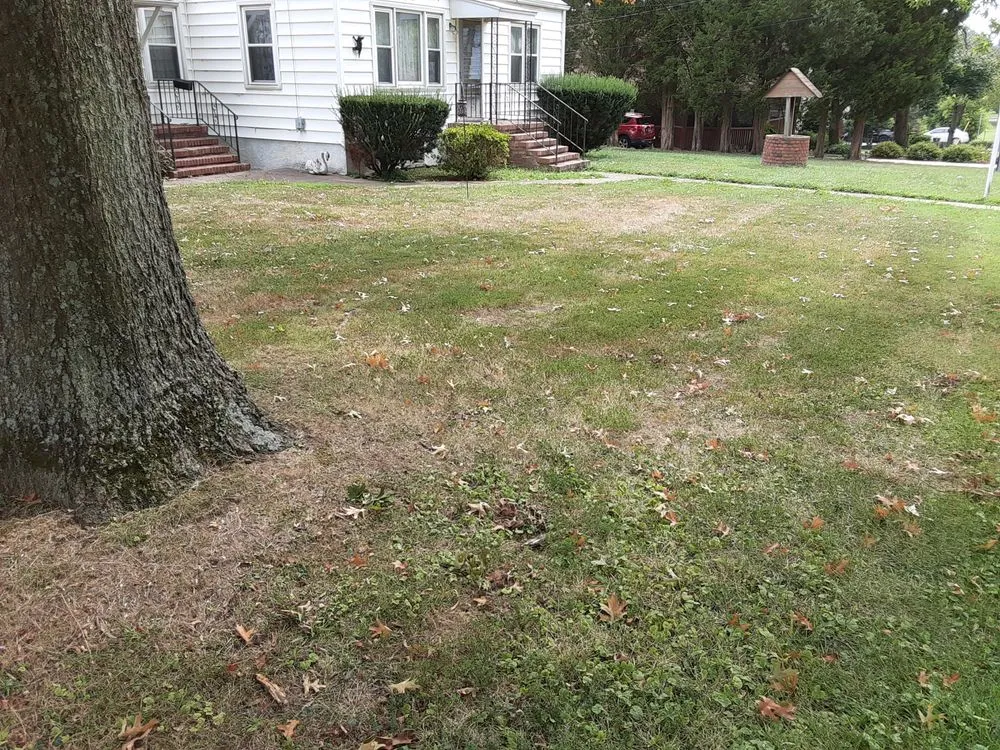 Reliable garden landscaping with custom design in Elkridge, MD by Raines Lawncare Services