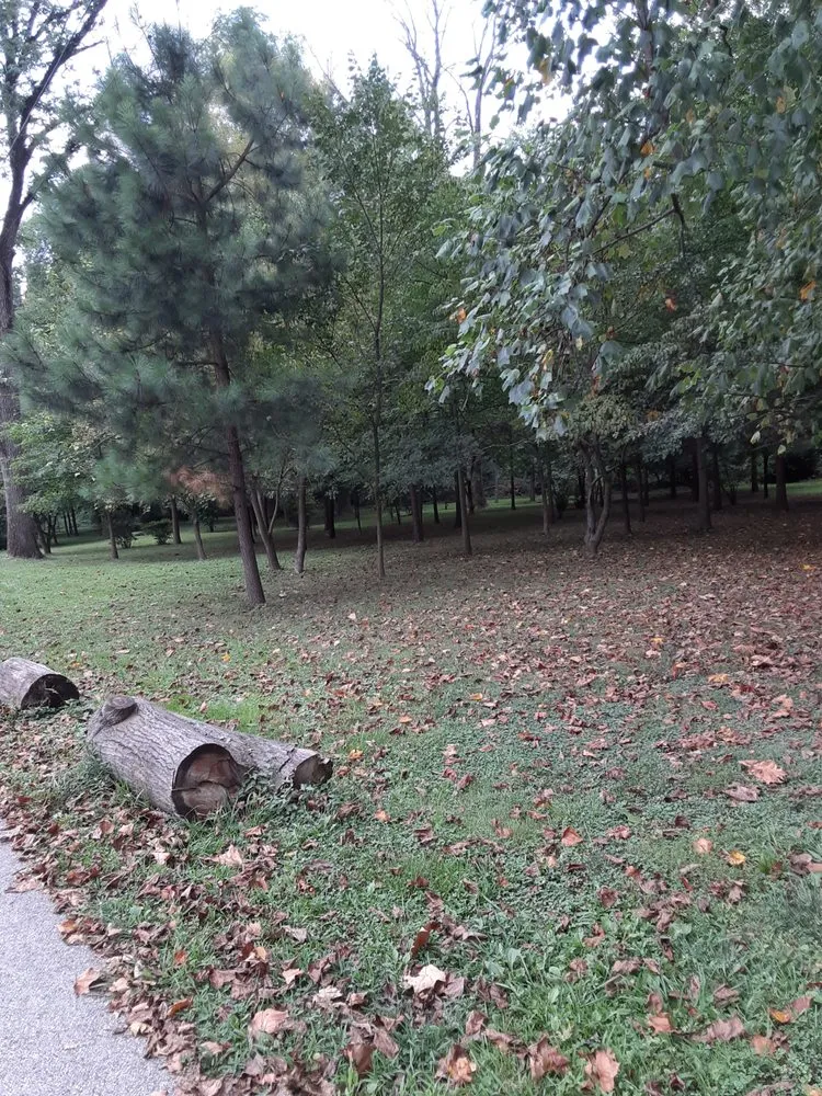 Expert garden landscaping near you in Elkridge, MD by Raines Lawncare Services