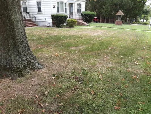 Raines Lawncare Services Logo