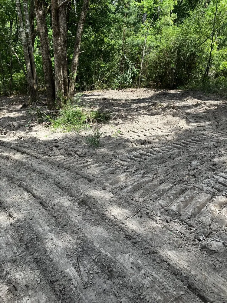 Affordable lawn care service for residential properties in Lucedale, MS by Rainey Farms and Construction