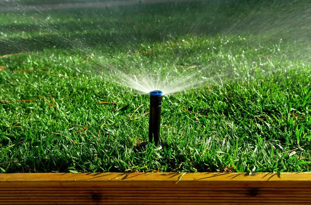 Professional outdoor landscaping experts serving Argenta, IL - Rainey Nursery