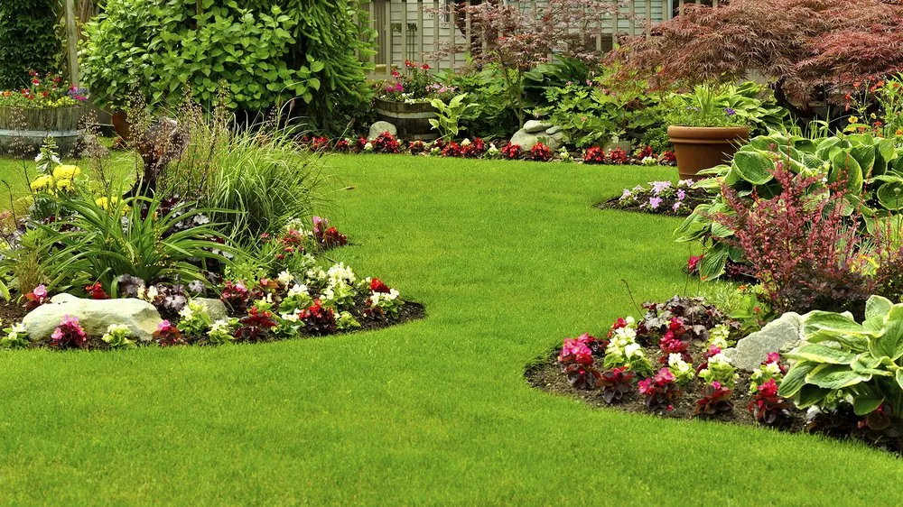Local landscaping services experts serving Argenta, IL - Rainey Nursery