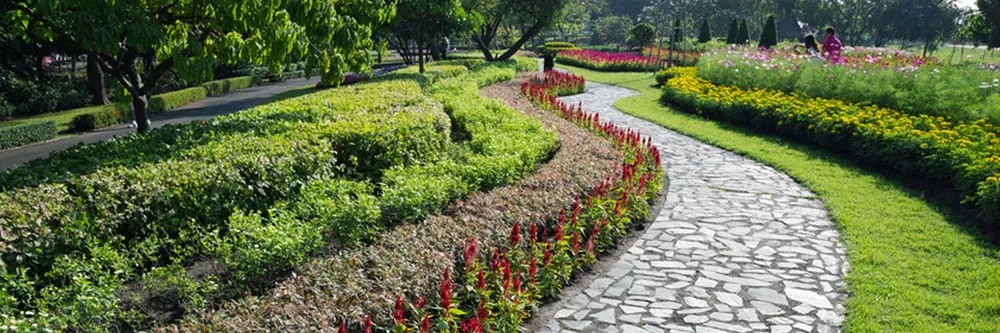 Expert landscape design in Argenta, IL by Rainey Nursery