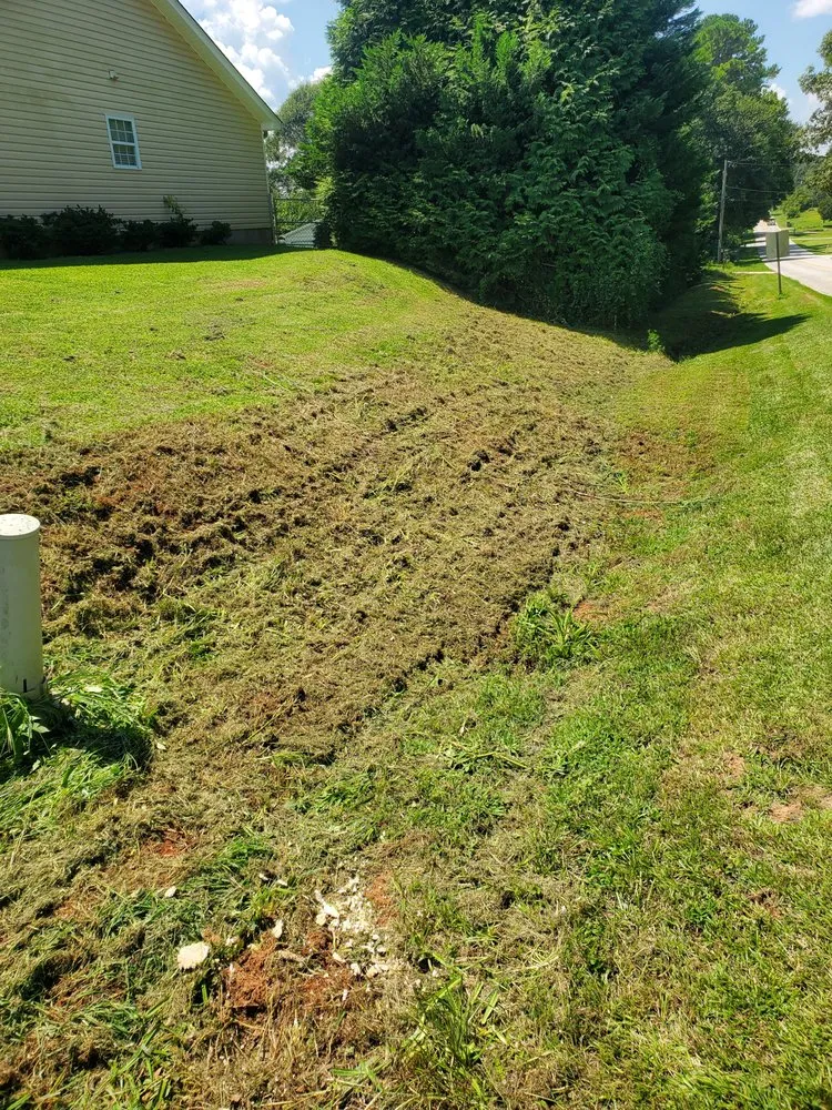 Custom yard cleanup service experts serving Inman, SC - Rainey's Advanced Mowing Services