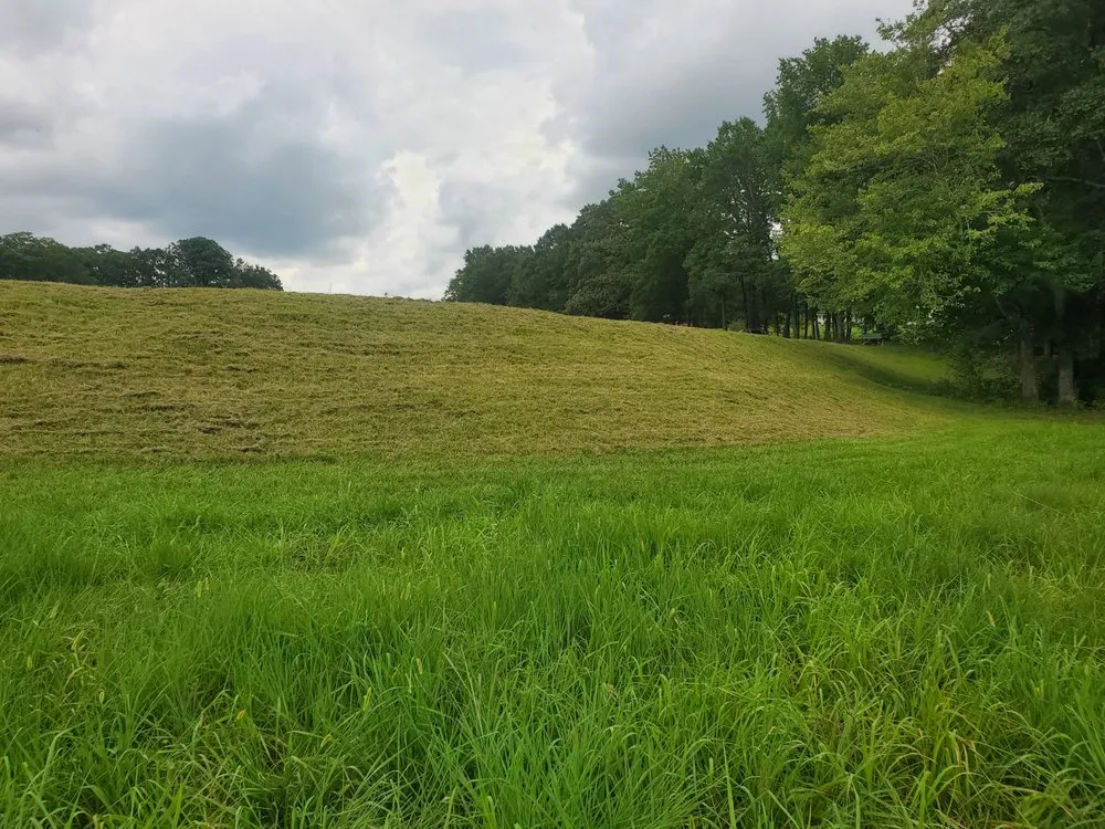 Expert yard maintenance for year-round maintenance in Inman, SC by Rainey's Advanced Mowing Services