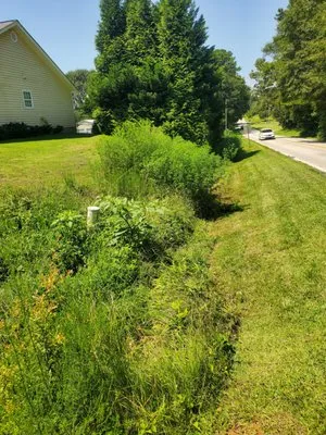 Rainey's Advanced Mowing Services Logo