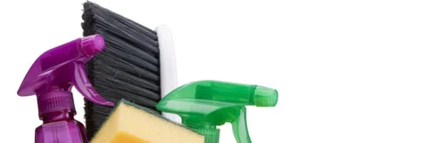 Rainey's Cleaning Service & Lawn Care Logo