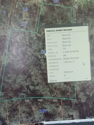 Raineys Land Service Logo