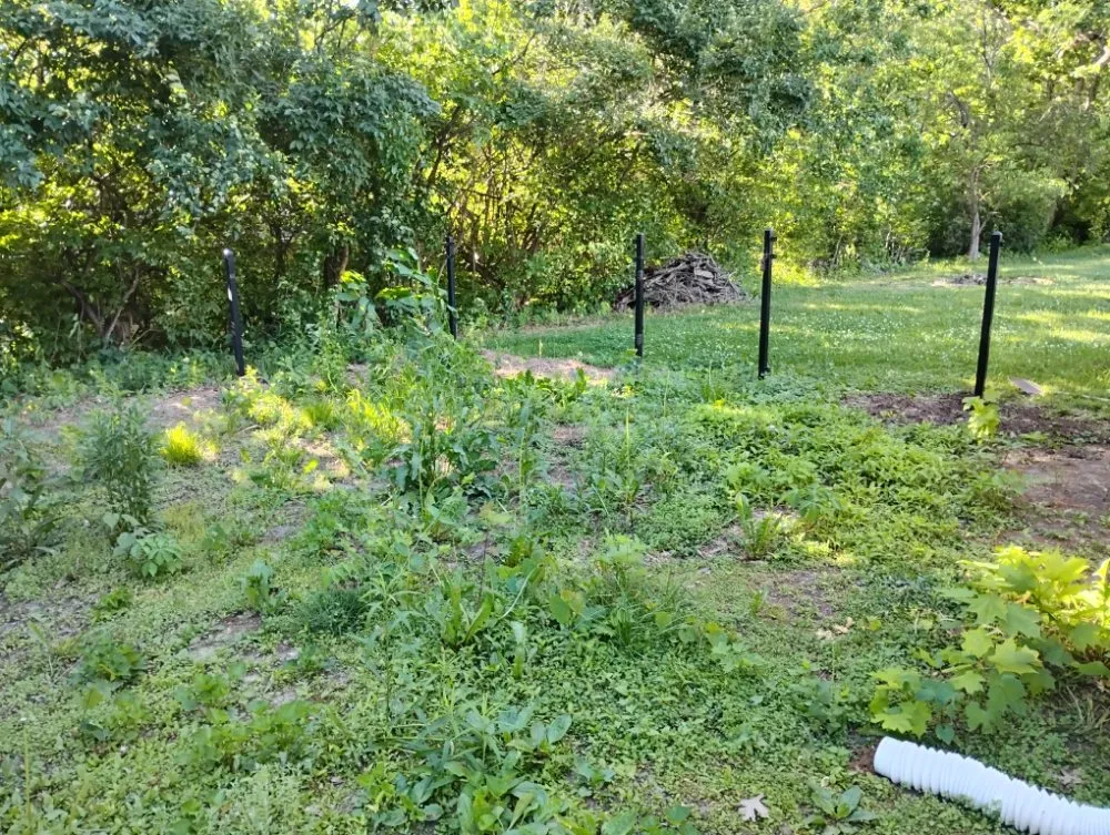 Trusted lawn mowing service in Petersburg, IL by Rainey's Lawn Care And Landscaping