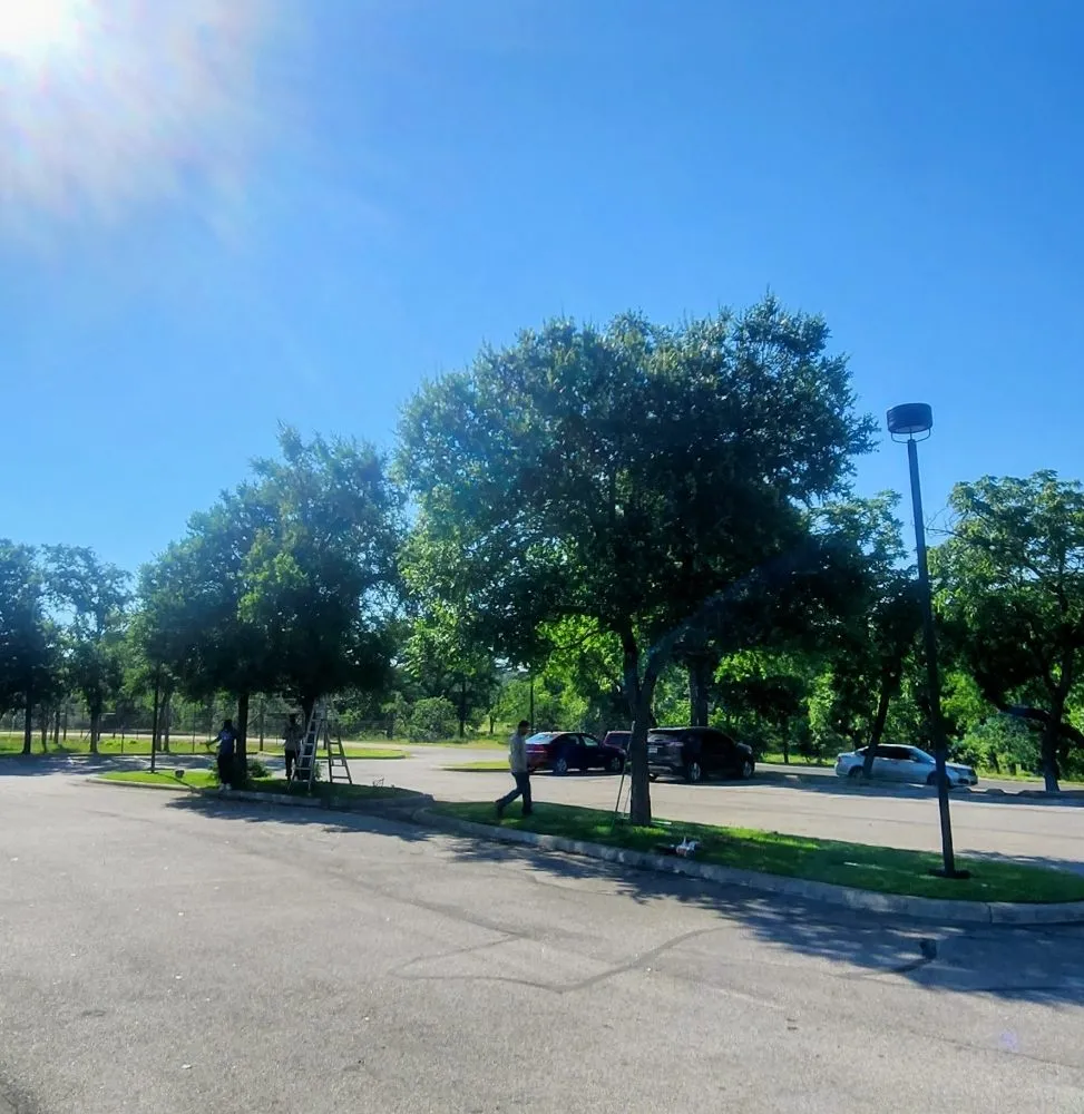 Top-rated landscape design near you across Boerne, TX - Rainfall Lawn Services