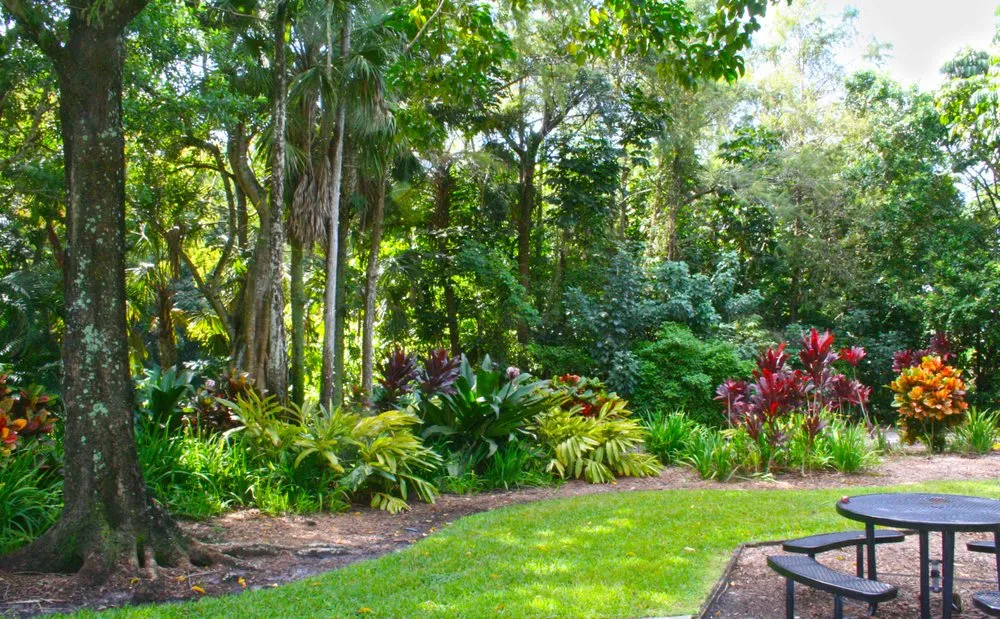 Reliable residential landscaping experts serving Oakland Park, FL - RainForest Management