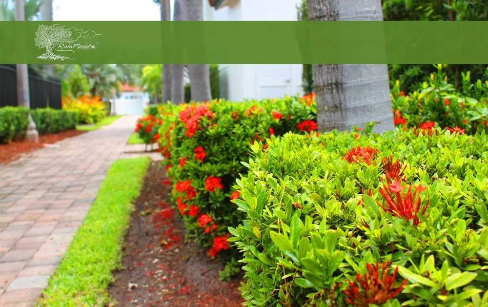 Trusted residential landscaping experts serving Oakland Park, FL - RainForest Management