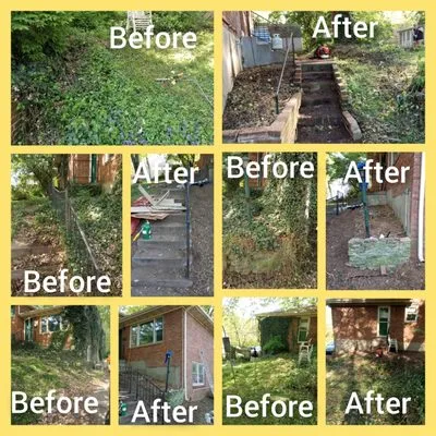 Raining Daisies Logo