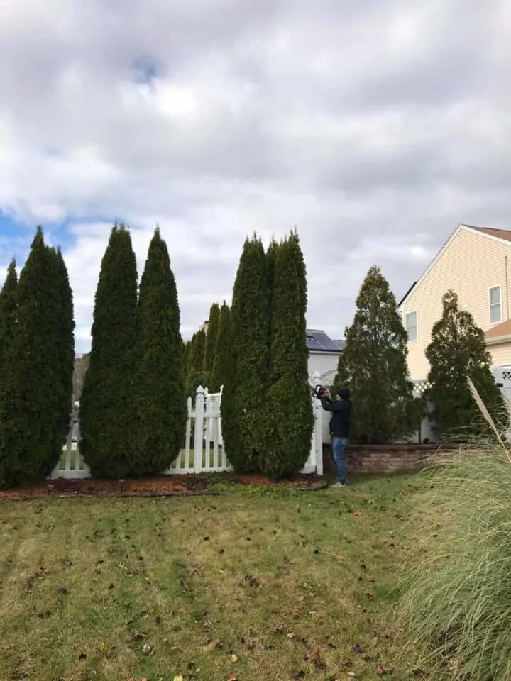 Trusted landscape installation in Hammonton, NJ by Rainmaker Irrigation & Landscaping