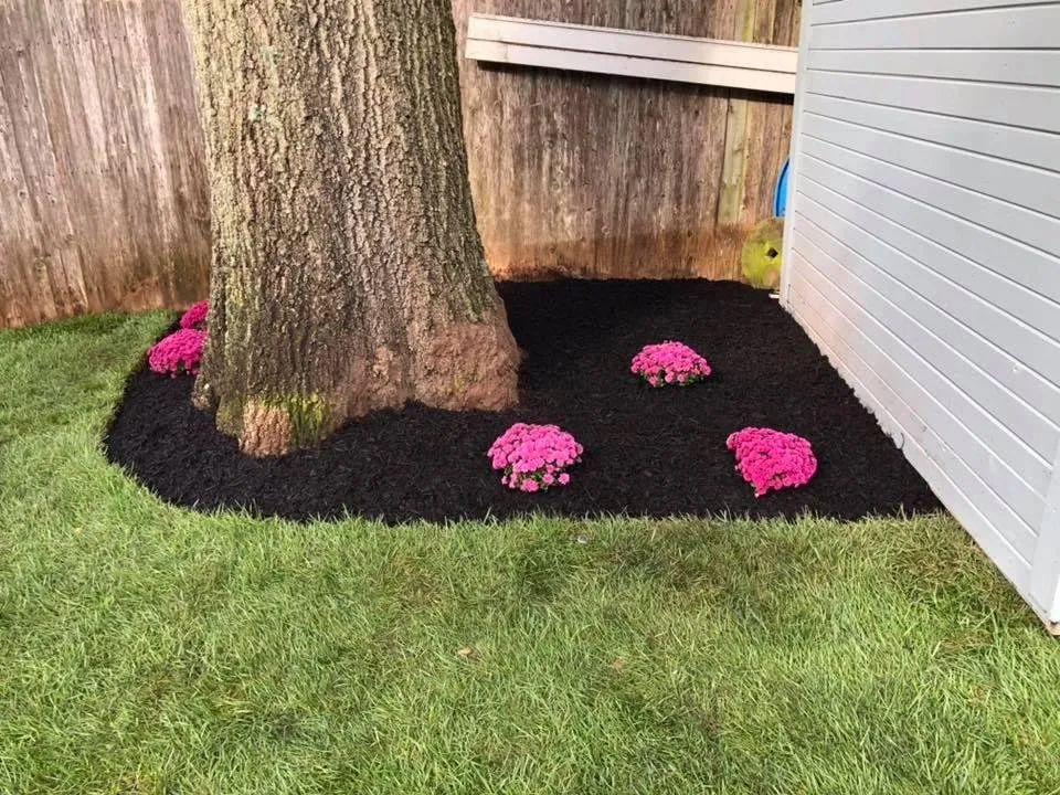 Affordable lawn mowing service in Hammonton, NJ - Rainmaker Irrigation & Landscaping