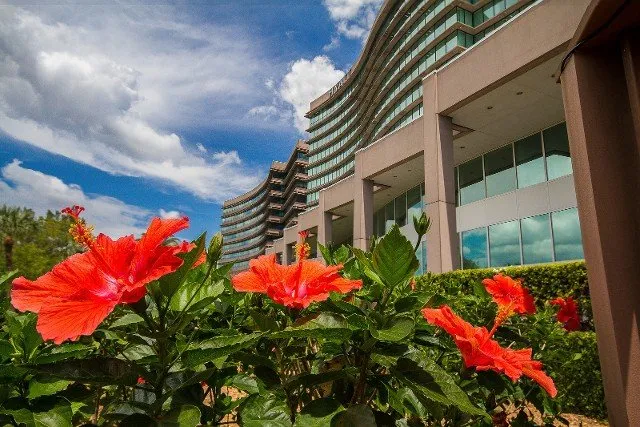 Trusted lawn care service in Palm Harbor, FL by Rainmaker Irrigation & Landscaping