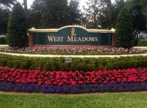 Trusted landscaping services in Palm Harbor, FL by Rainmaker Irrigation & Landscaping