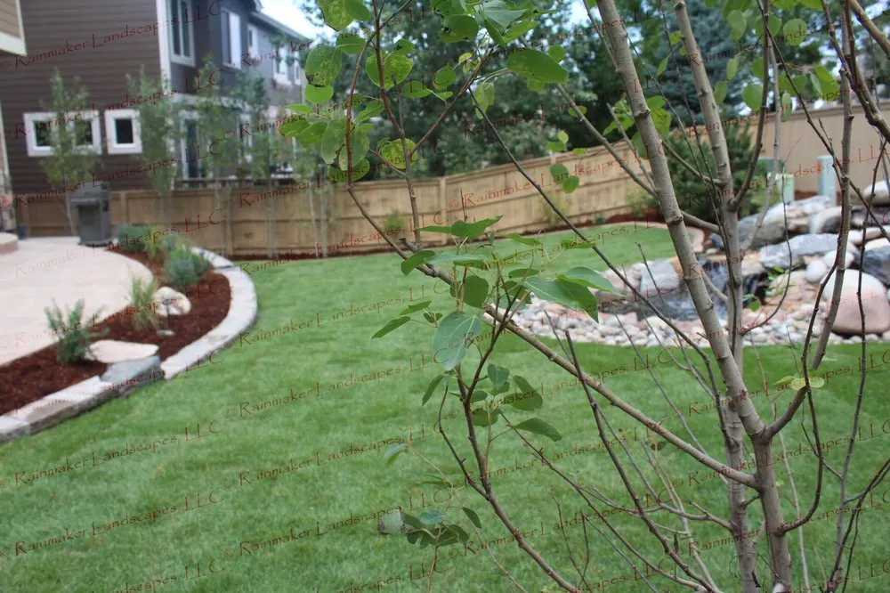 Professional yard cleanup service in Littleton, CO - Rainmaker Landscapes