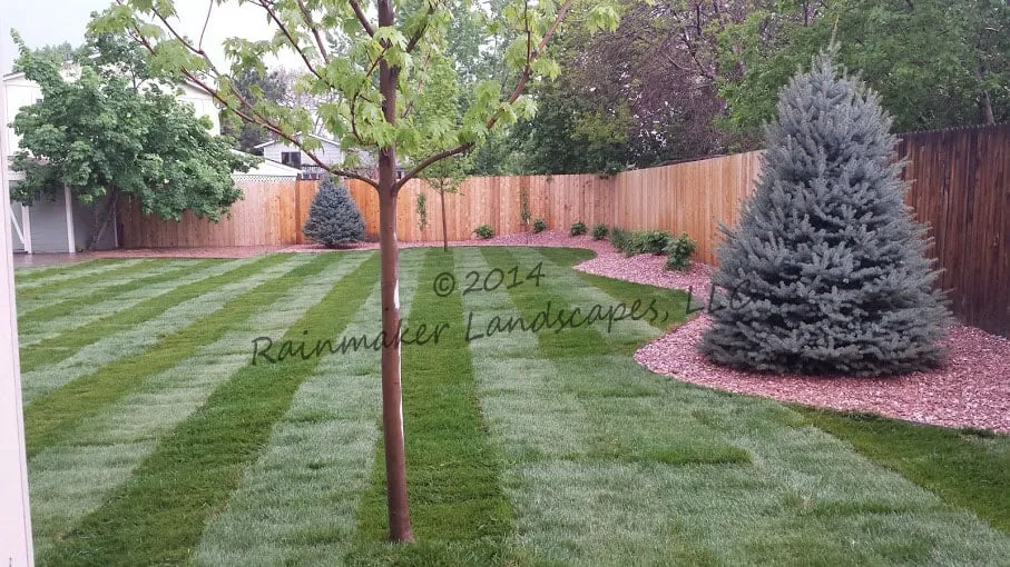 Top-rated lawn care service for outdoor upgrades across Littleton, CO - Rainmaker Landscapes