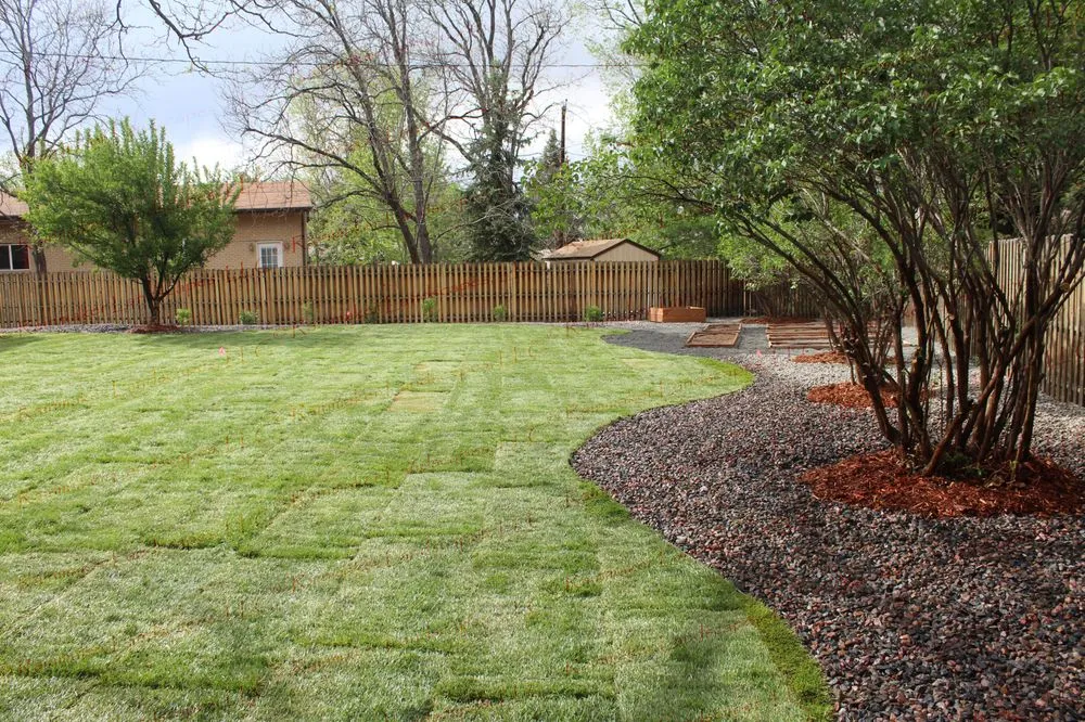 Local yard cleanup service in Littleton, CO - Rainmaker Landscapes