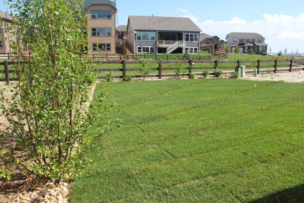 Top-rated yard cleanup service for outdoor upgrades in Littleton, CO by Rainmaker Landscapes