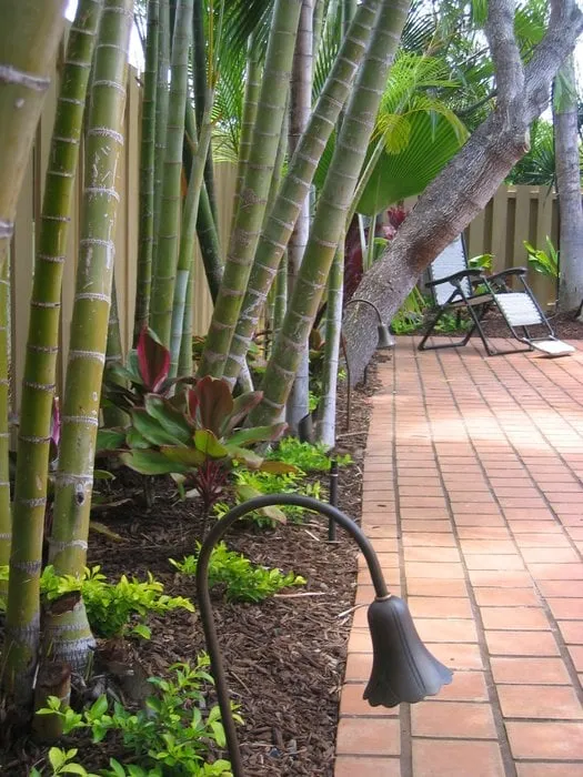 Custom landscaping services in Aiea, HI - Rainmaker Landscaping