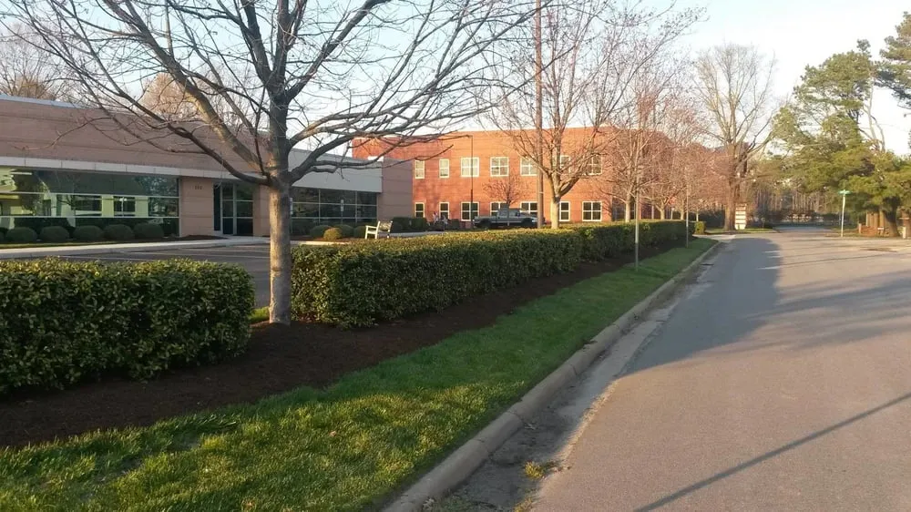 Expert lawn care service in Virginia Beach, VA by Rainmakers Lawn Care & Landscapes