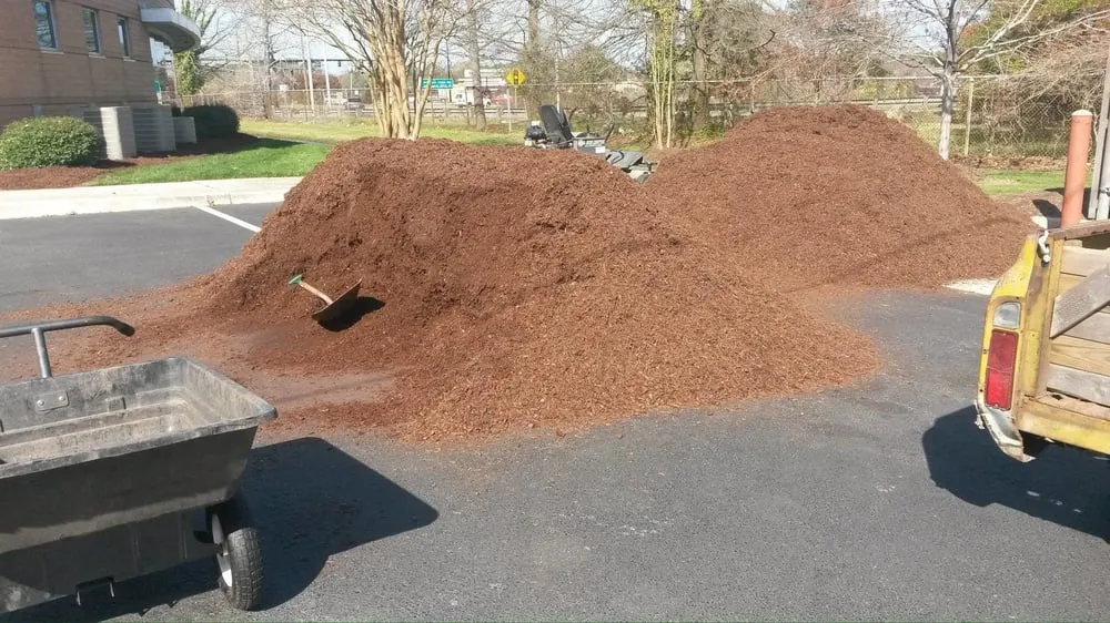 Local yard maintenance experts serving Virginia Beach, VA - Rainmakers Lawn Care & Landscapes