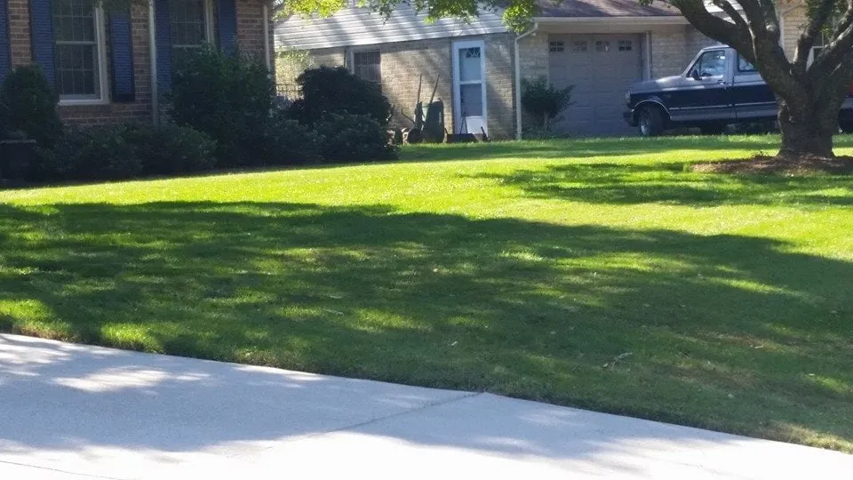 Trusted yard maintenance for homes in Virginia Beach, VA by Rainmakers Lawn Care & Landscapes