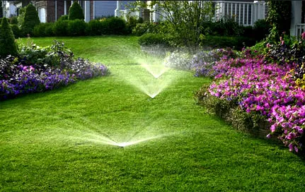 Expert landscape design in Ennis, TX by Rainmasters Irrigation & Landscaping