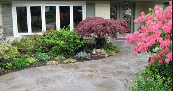 Top-rated yard cleanup service near you in Ennis, TX by Rainmasters Irrigation & Landscaping