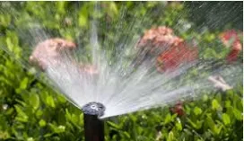 Local landscape installation for year-round maintenance in Ennis, TX by Rainmasters Irrigation & Landscaping