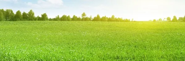 Rainmasters Irrigation & Landscaping Logo