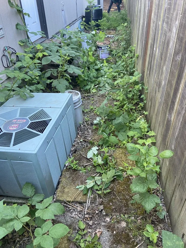 Trusted yard maintenance in Beaverton, OR by Rainmont Landscape Maintenance