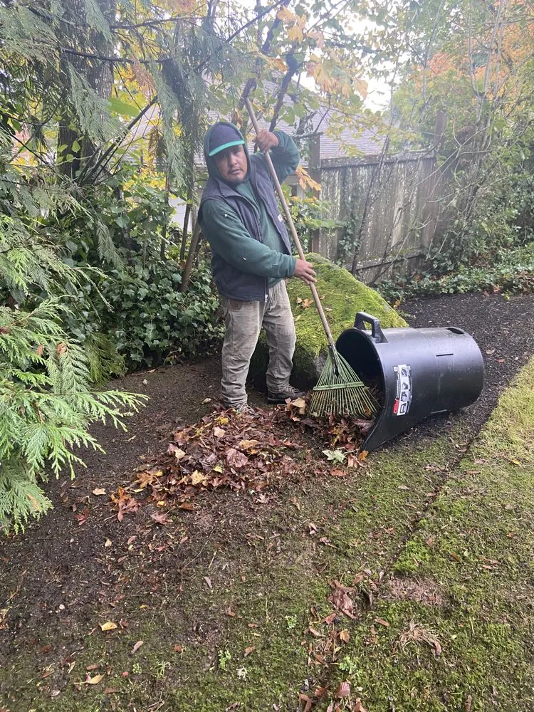 Trusted yard maintenance in Beaverton, OR by Rainmont Landscape Maintenance