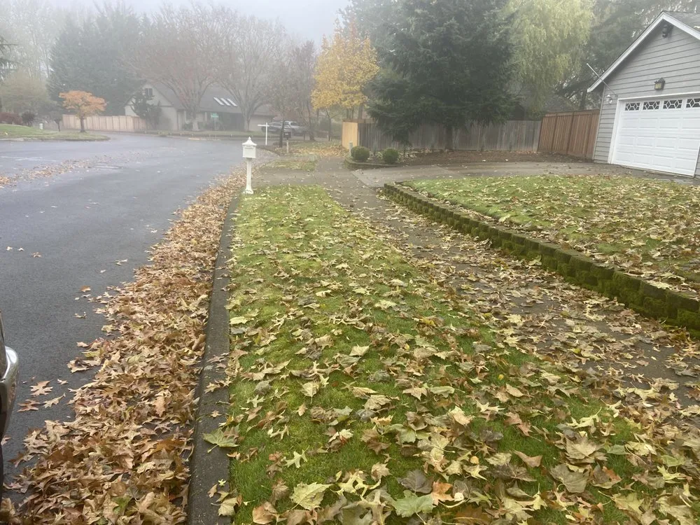 Professional lawn mowing service in Beaverton, OR - Rainmont Landscape Maintenance