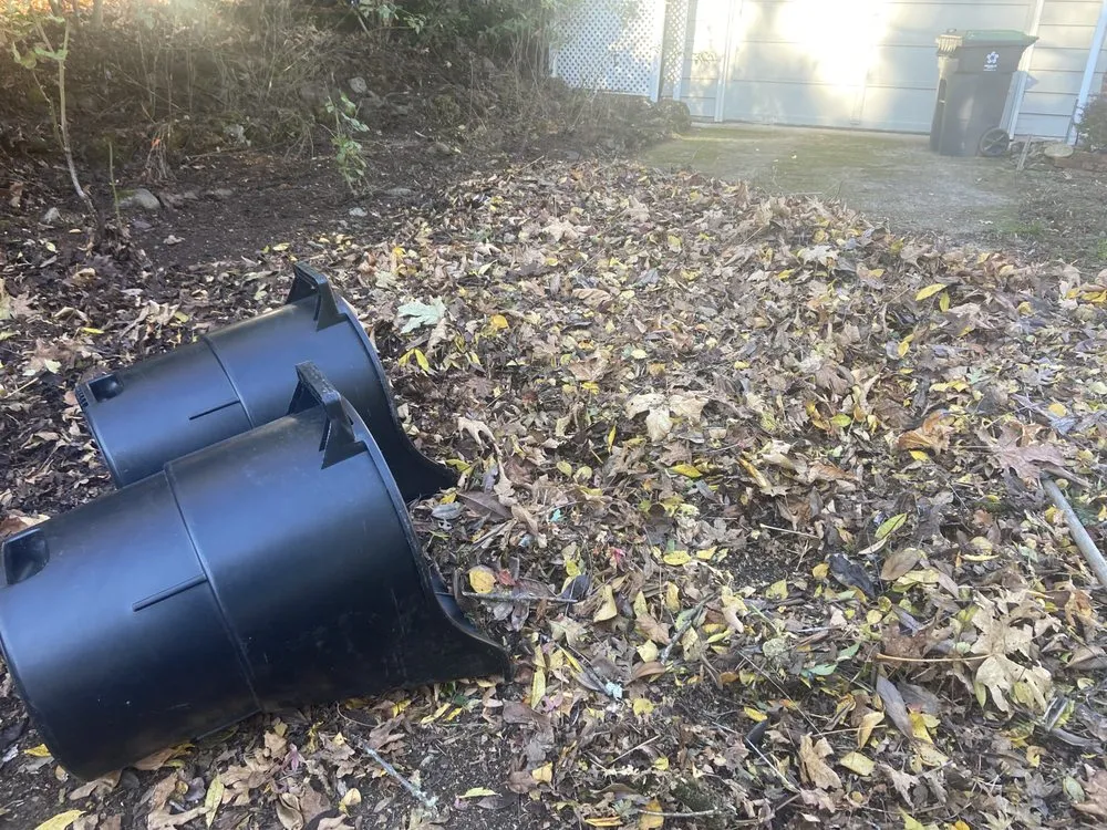 Reliable landscaping services in Beaverton, OR - Rainmont Landscape Maintenance