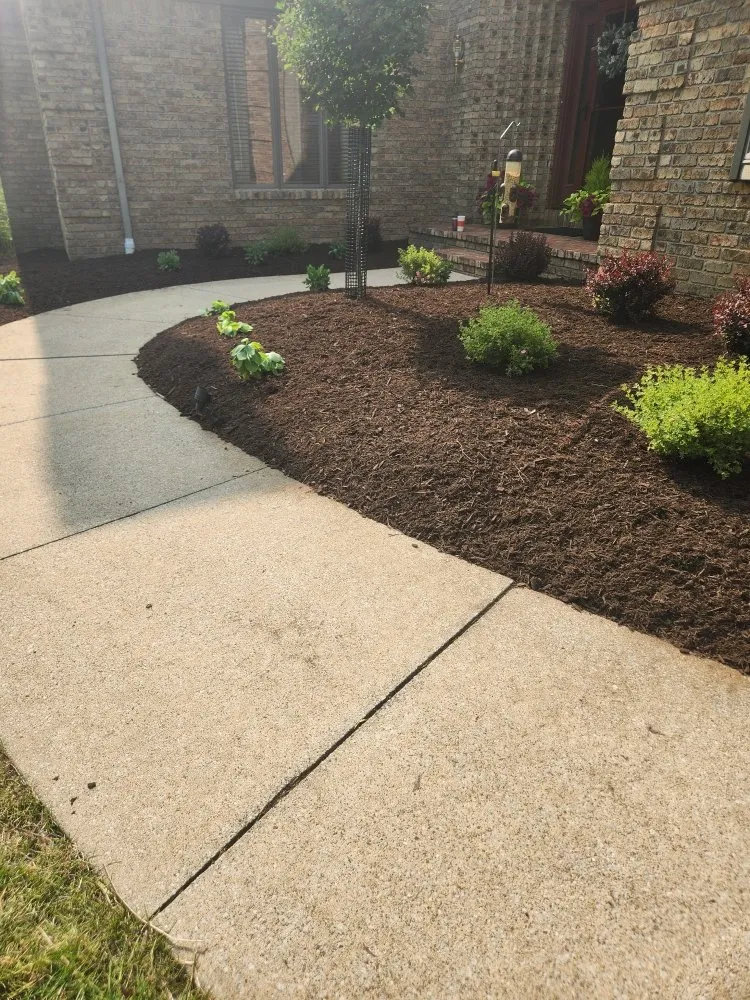 Affordable yard cleanup service in Medina, OH by Rains Landscaping