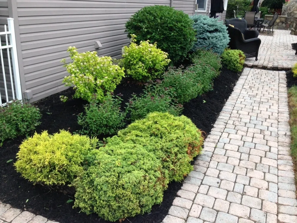 Trusted yard cleanup service in Medina, OH - Rains Landscaping