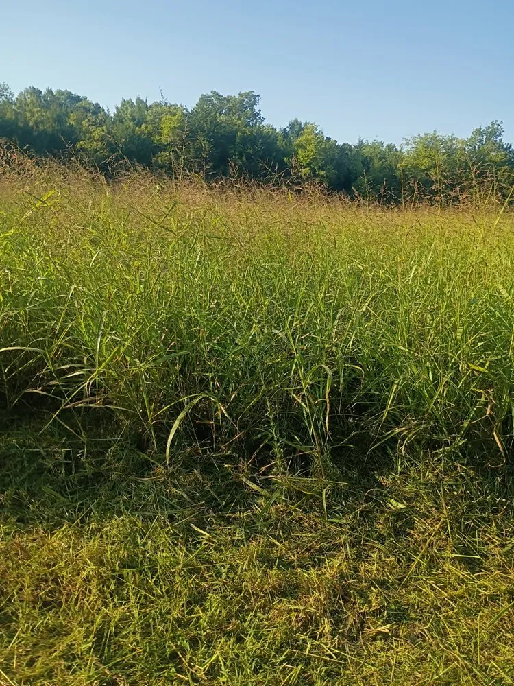 Top-rated residential landscaping in Fort Worth, TX - Rains Lawn and Landscaping