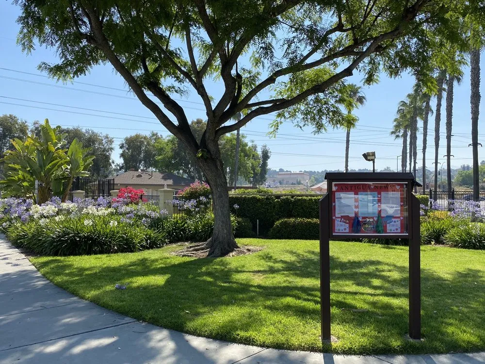 Trusted yard cleanup service with custom design in San Diego, CA by Rainscape Environmental Management