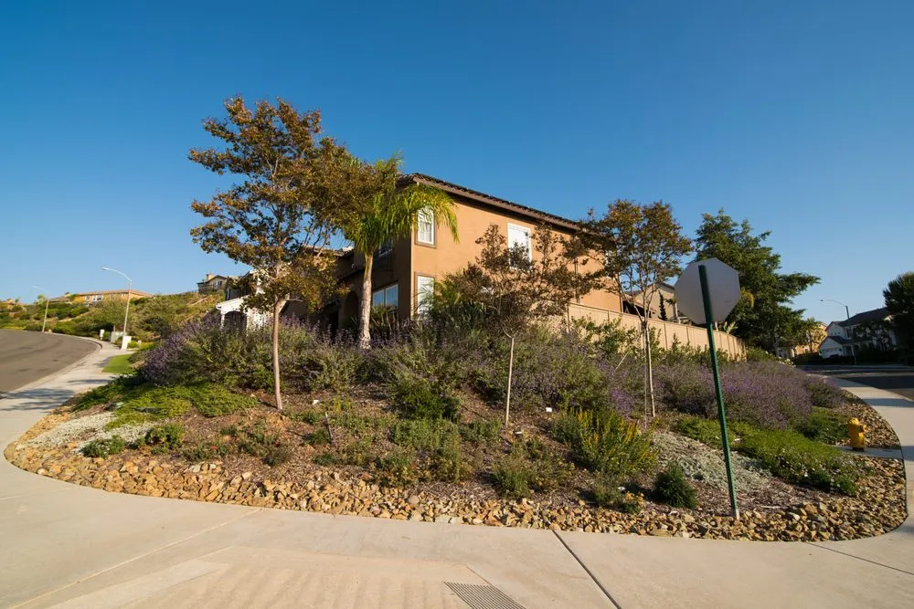 Expert landscaping services for year-round maintenance in San Diego, CA by Rainscape Environmental Management