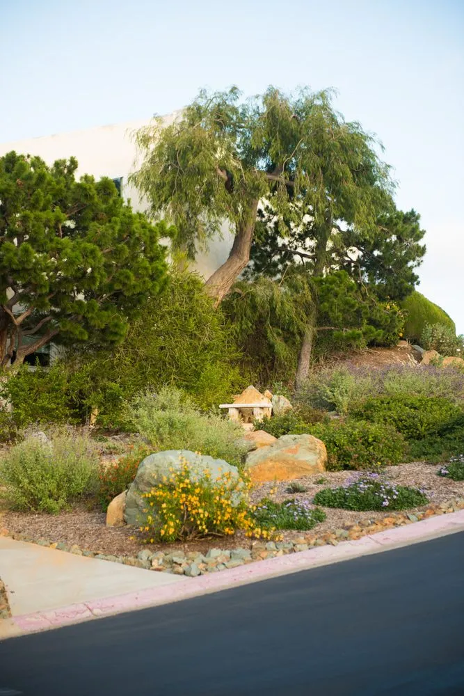 Trusted lawn care service in San Diego, CA by Rainscape Environmental Management