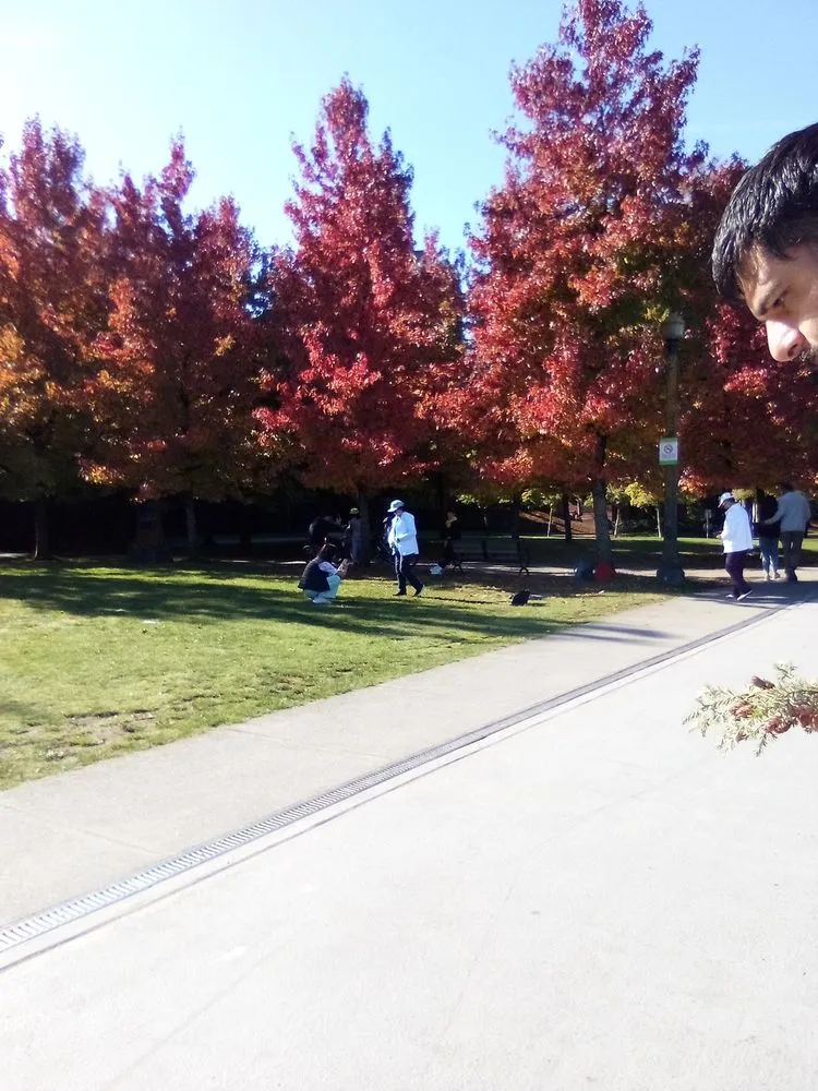 Trusted lawn care service in San Diego, CA by Rainscape Environmental Management