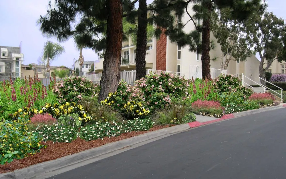 Affordable residential landscaping for residential properties across San Diego, CA - Rainscape Environmental Management