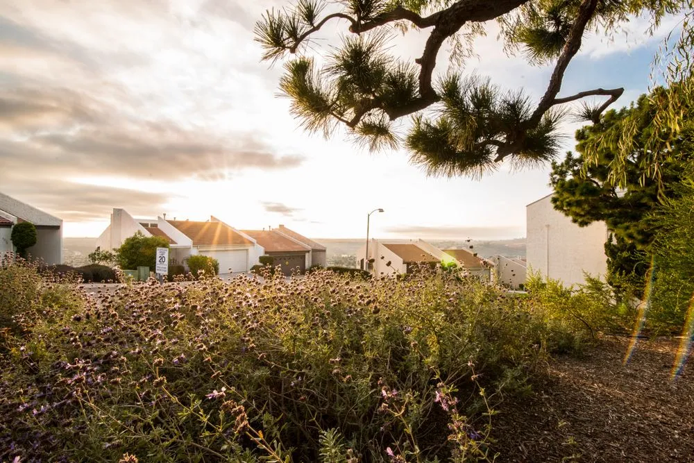 Reliable landscape design for beautiful yards across San Diego, CA - Rainscape Environmental Management