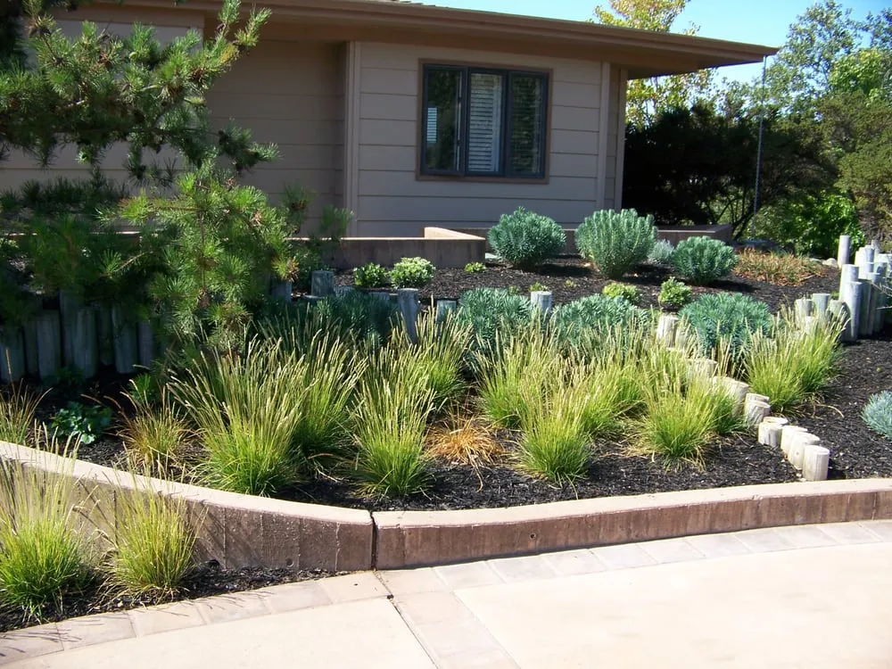 Custom lawn mowing service experts serving San Luis Obispo, CA - Rainscape