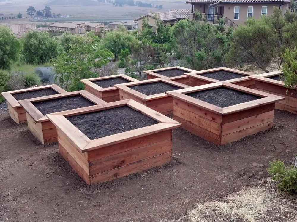 Trusted outdoor landscaping in San Luis Obispo, CA by Rainscape