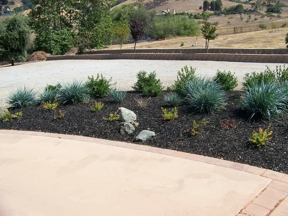 Professional yard maintenance in San Luis Obispo, CA - Rainscape